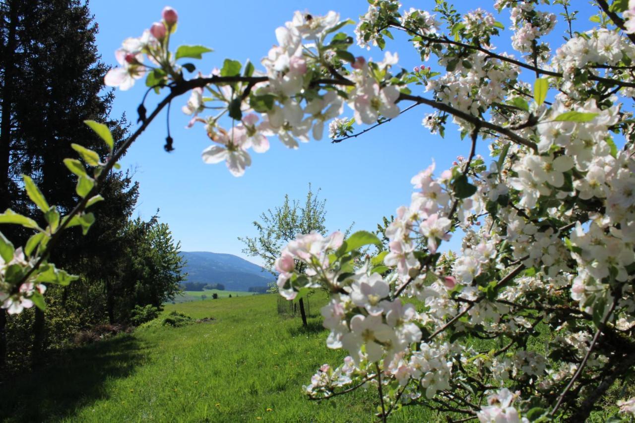 Moderne Ferienwohnung Mit Eigenem Garten Und Traumhaften Blick Wilhelmsthal Bagian luar foto